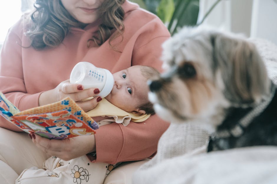  Warum Hunde Kot fressen?