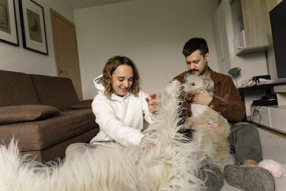 Graben Hunde in Wohnungen aus Vorteilen für den Besitzer