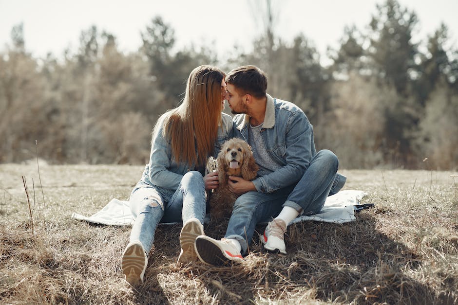  Hundelecken-Warum es Hunden Freude bereitet