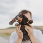 Ursachen für verstärkte Anhänglichkeit bei Hunden