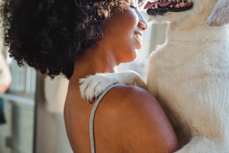 Hund auf Arm legen, symbolisierte Freundschaft und Zuneigung