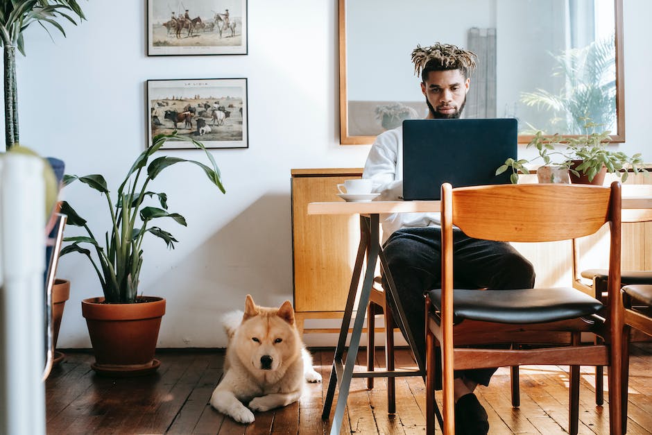  Warum pupst mein Hund so viel - Ursachen und mögliche Lösungen