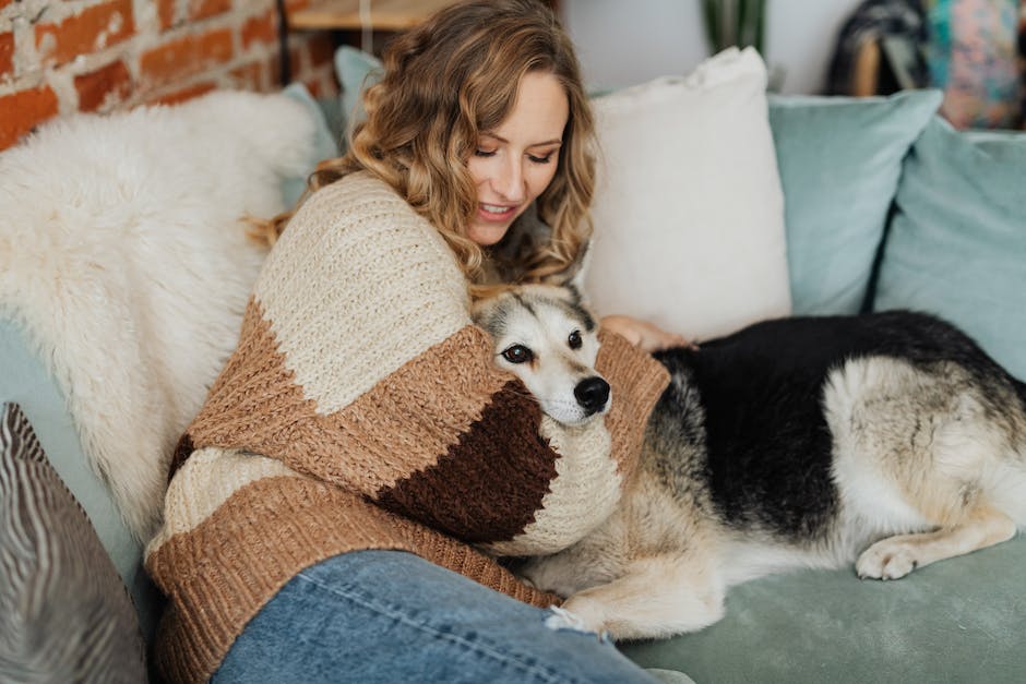 warum rammeln Hunde Menschen