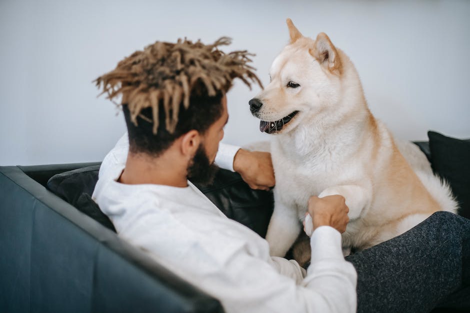 "Warum scharren Hunde mit den Hinterpfoten auf dem Boden?"