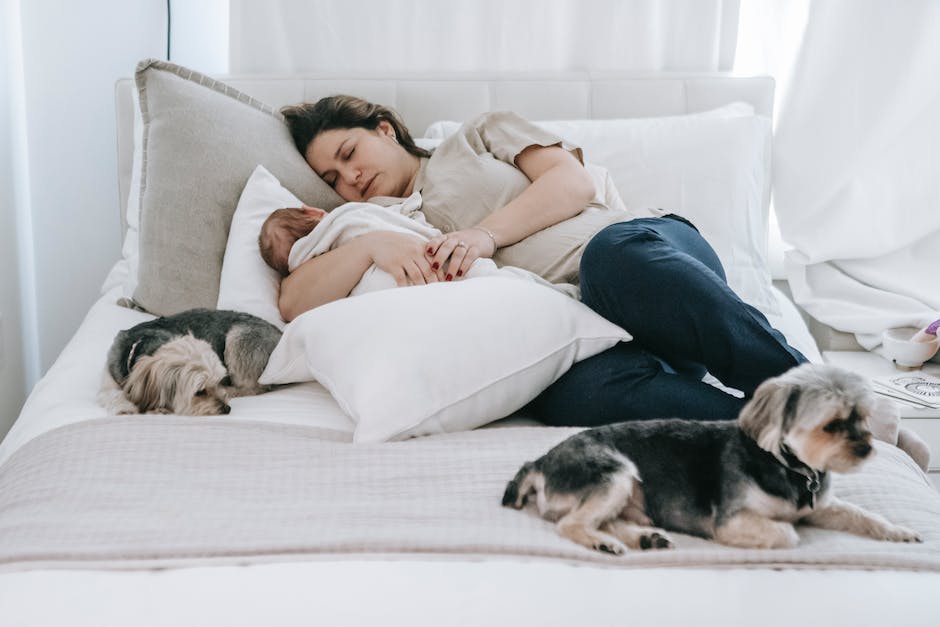 Hunde, die gerne auf dem Rücken schlafen, um sich sicherer zu fühlen