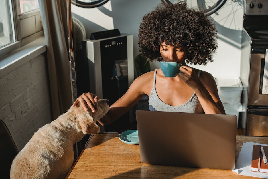 warum schlecken Hunde Menschen? Einblick in die Motivation