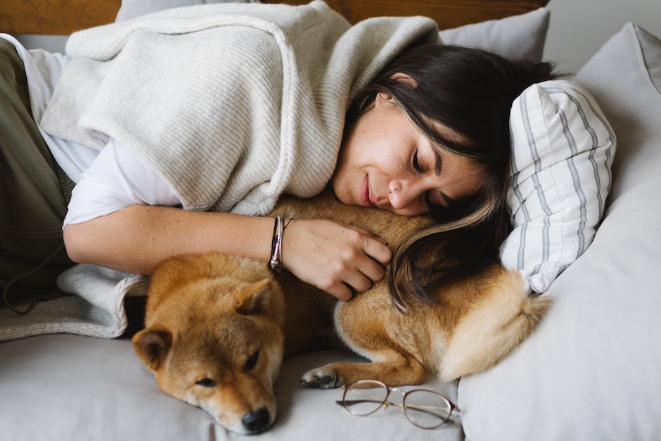  Warum Hunde vor dem Schlafen schmatzen