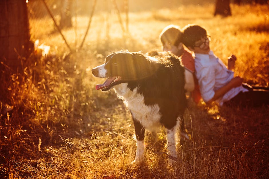  Warum Hunde an Menschen schlimmer schnüffeln