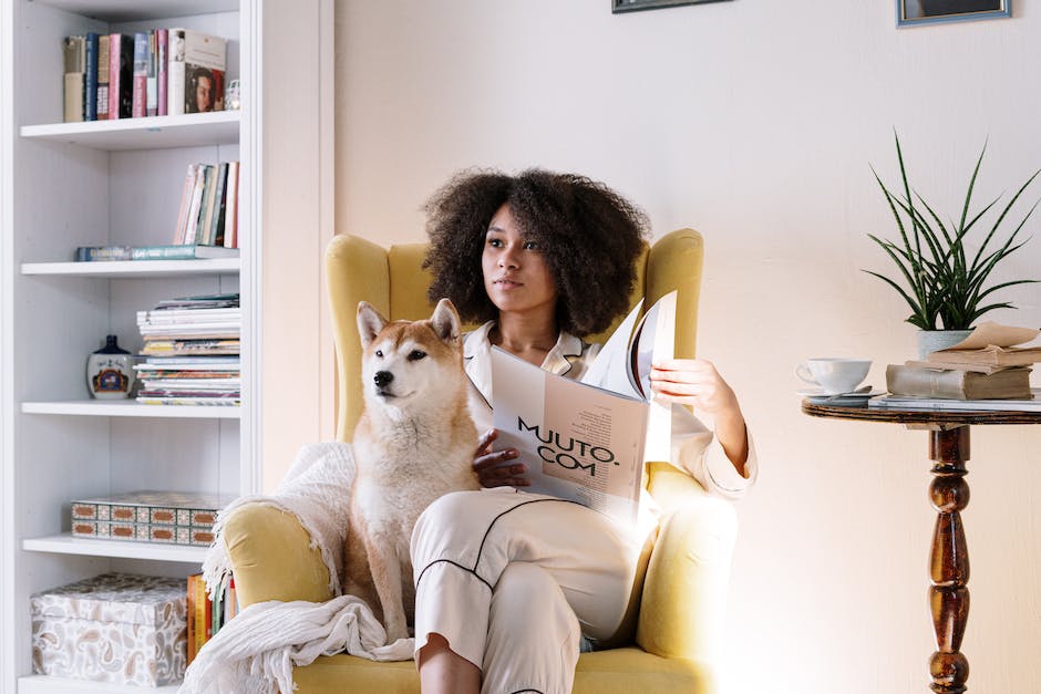 Hund auf Mensch Schoß sitzend