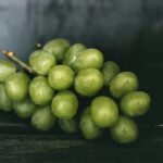 Warum Hunde Giftstoffe in Weintrauben enthalten