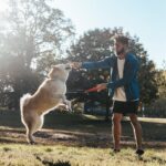 Hundespringen - Warum Hunde hochspringen