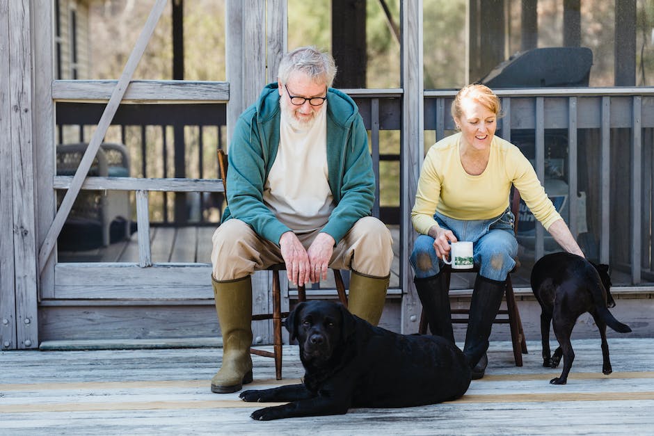 Alte Hunde Zittern - Erklärung und Tipps